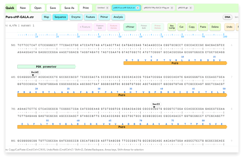 Sequence screen